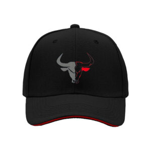 Chicago Bulls Logo Men's Baseball Cap Black Red Sport Gift Hat