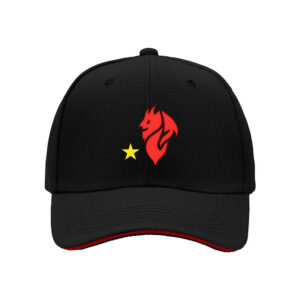 Red Dragon Star Embroidered Men's Baseball Cap Gift