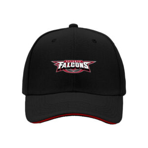 Atlanta Falcons Logo Men's Baseball Cap Black Red Trim Gift