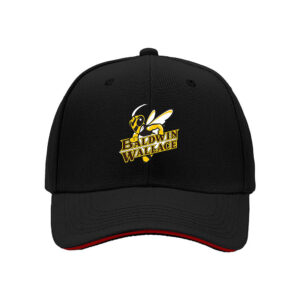 Baldwin Wallace Yellow Jackets Baseball Cap Men's Women's Gift
