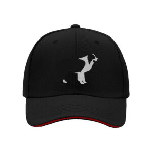 Border Collie Dog Print Men's Baseball Cap Gift for Dog Lovers