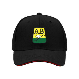 AB Logo Baseball Cap Men's Women's Hat Gift for Hockey Fans